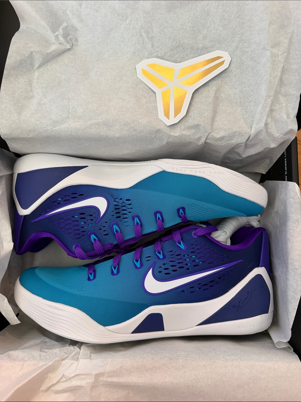 NEW Nike Kobe IX Elite Low ‘Em Protro